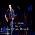 عکس کنسرت پینک فلوید Pink Floyd - David Gilmour Live at robert Wyatts Meltdown