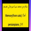 عکس آهنگ (Memory(from cats
