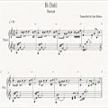عکس Bi Dalil (Rastaak) Instrumental-Sheet Music-Midi