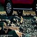 عکس ویدیوی از ماشین نیسان ترا-شاسی بلند-زیبا-ماشینی خفن-خوش رنگ ورخ