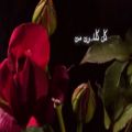عکس کلیپ احساسی و فوق العاده زیبا ترانه قدیمی گل گلدون من از سیمین غانم