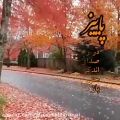 عکس کلیپ زیبای پاییزی / پاییز در راه است