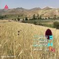 عکس موزیک ویدئو بختیاری زیبا - رضا صالحی