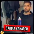 عکس bardia bahador