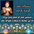 عکس قرچه شور استاد محمدرضا شجریان ( 19 )