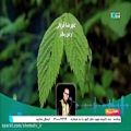 عکس ترانه باران (شبکه شما) قسمت 410