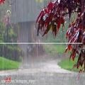 عکس نماهنگ بارون با صدای بهنام مومنی