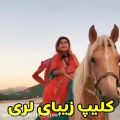 عکس اهنگ شاد افغانی.اهنگ غمگین لری.اهنگ ترکی محلی
