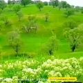 عکس میکس لری / طبیعت زیبای دشمن زیاری نور آباد ممسنی