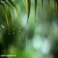 عکس سه ساعت موسیقی پیانو به همراه صدای باران روی برگ | (موسیقی آرامبخش 223)