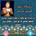 عکس قرچه شور استاد محمدرضا شجریان ( 12 )