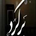 عکس اهنگ/حال قلبم بی تو تعریفی نداره