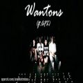 عکس Wantons Feat. AFX - Cheshmak