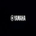 عکس معرفی باند اکتیو یاماها Yamaha DSR112 | داور ملودی