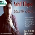 عکس آهنگ آذربایجانی Sahil Eliyev - Onda Ürək Yoxdur