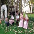 عکس اجرای گروه موسیقی سنتی ،دف و سنتور وتنبک ۰۹۱۲۰۰۴۶۷۹۷ عبدالله پور