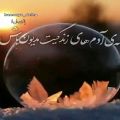 عکس کلیپ تکست ناب .دلنوشته خاص .حرف دل .برای استوری