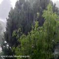 عکس ببار بارون، شجریان merci-shop.mihanstore.net