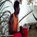 عکس موسیقی ملل - موسیقی آفریقا - ساز Ngombi (نوعی چنگ)