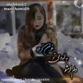 عکس دلم امشو-آهنگ زیبا عاشقانه -کلیپ عاشقانه غمگین - کلیپ جدید