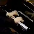 عکس Chopin - Prelude No 16 op 28