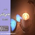 عکس شعر: استاد شهریار، دکلمه و تدوین: الهام حسینی ابهری