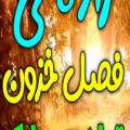 عکس کلیپ تولد || زاده فصل خزون تولدت مبارک