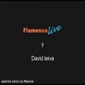 عکس RUMBAS-Flamenco Guitar by Styles David Leiva Book + DVD