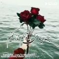 عکس کلیپ عاشقانه جدید _ آهنگ عاشقانه _برای استوری اینستاگرام