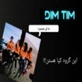 عکس معرفی گروه DIM TIM