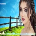 عکس آهنگ شاد ارکستی جدید یار قسم خورده - آهنگ شاد ایرانی جدید Persian