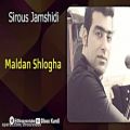 عکس Sirous Jamshidi - Maldan Shlogha - سیروس جمشیدی - مالدان شلوغه