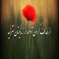 عکس متن تیکه/تکست/دلنوشته