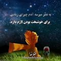 عکس کلیپ خارجی خوشبختی با زیر نویس فارسی .برای وضعیت واتساپ .حرف دل .