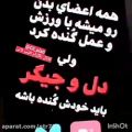 عکس دل و جیگر باید خودش گنده باشه - کلیپ لاتی