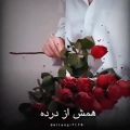 عکس ادیت موزیک عشق زیادی نمک رو زخمه....