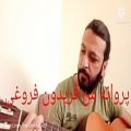 عکس پروانه من فریدون فروغی اجرای گیتار