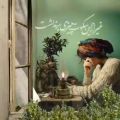 عکس صدام که سر به آسمون کشید | آهنگ زیبا و عاشقانه | مرتضی پاشایی | کلیپ زیبا