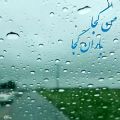 عکس همایون شجریان : من کجا باران کجا