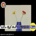 عکس اجرای زنده استاد کیوان ساکت در برنامه با همستان