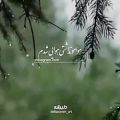 عکس آهنگ زیبای «هوامو نداشتی هوایی شدم»محمد اصفهانی