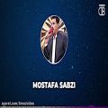 عکس Mostafa Sabzi - Garyan - 2021 - مصطفی سبزی - گریان گردان گردانه