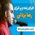عکس اجرای زنده رضا یزدانی در بیست و یکمین دوره جشن حافظ