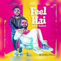 عکس اهنگ رپ هندی Feel Hai