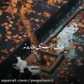 عکس موزیک جذاب راغب / چیشده که از من عاشق داری رد میشی