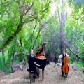 عکس موسیقی بی‌کلام روح‌نواز (پیانو و ویولنسل)