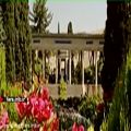 عکس ترانه شاد درخت مهربانی با صدای آقای آبادیان - شیراز