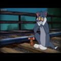 عکس ویدئو و موزیک Tom Jerry (Dam Wor) XXXTENTACION Sad