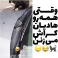 عکس .قتی همه رو عای هادیان کراش میزنن ووو رهام هادیان