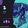 عکس موزیک محلی شاد - گل پری- Persian Folk Music - Gol Pari